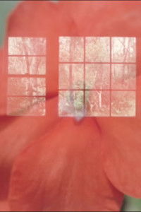 Poster for Letter from Blackhawk Island