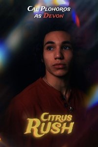 Poster 6