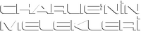 Logo 21