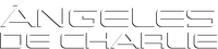 Logo 26