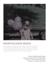 Poster for Morfología muda