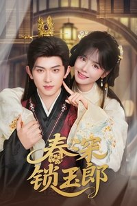 Poster for 春深锁玉郎