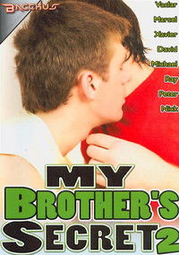 Poster for My Brother's Secret 2