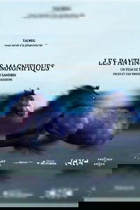 Poster for Les pantins magnifiques
