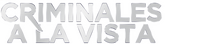 Logo 7