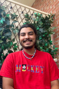 Profile of Elmer Baumen-Enriques