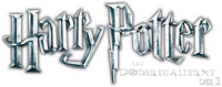 Logo 41