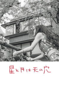 The Stars and the Moon are Holes in the Sky