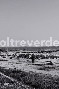 Poster for Oltreverde