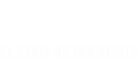 Logo 29