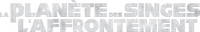 Logo 12