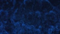 Backdrop 1