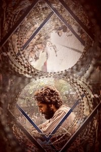 Poster 26