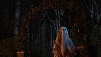Halloween / El hombre en la maleta