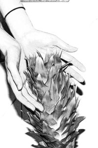 Poster for El límite