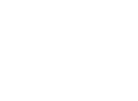 Logo 80