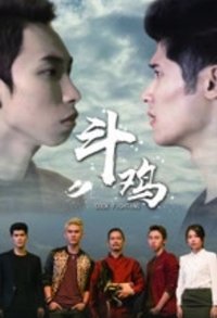 斗鸡