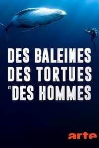 poster Des baleines, des tortues et des hommes