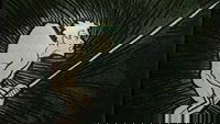 Backdrop 4
