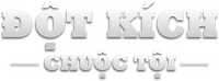 Logo 9