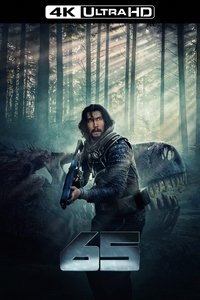 Poster 34