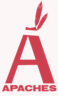 Logo - Apaches Films