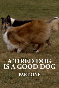 Poster for A Tired Dog is a Good Dog, Part One