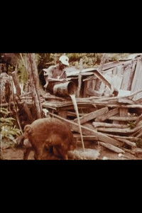 Poster for Bottle Up and Go