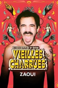 Poster for Zaoui en concert aux Vieilles Charrues 2024