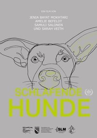 Poster for Schlafende Hunde