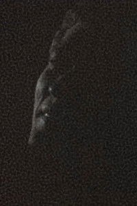 Poster for Aged in Wood