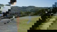Backdrop 3