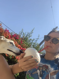 DogsLoveMe's profile image