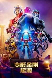 Poster 5
