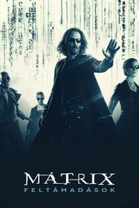 Poster 166