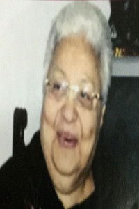 Profile of Hossn Shah