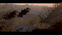 Backdrop 1