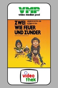 Poster 4