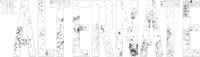 Logo 0