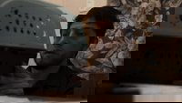 Backdrop 0