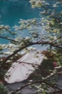 Poster for Between Grass and Road