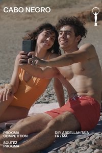 Poster 3