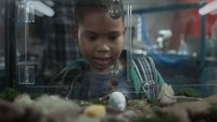 N.º 104: Bienvenido a BIONA. Espero que sobrevivas a la experiencia
