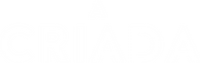 Logo 13