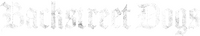 Logo 1