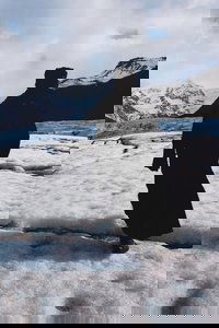 True North