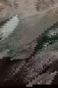 The Sleepeater