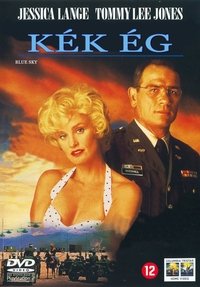 Poster 6