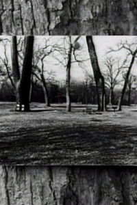 Poster for Zeno's Paradox