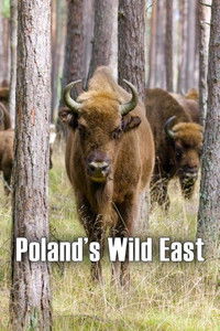 Poster for Poland's Wild East